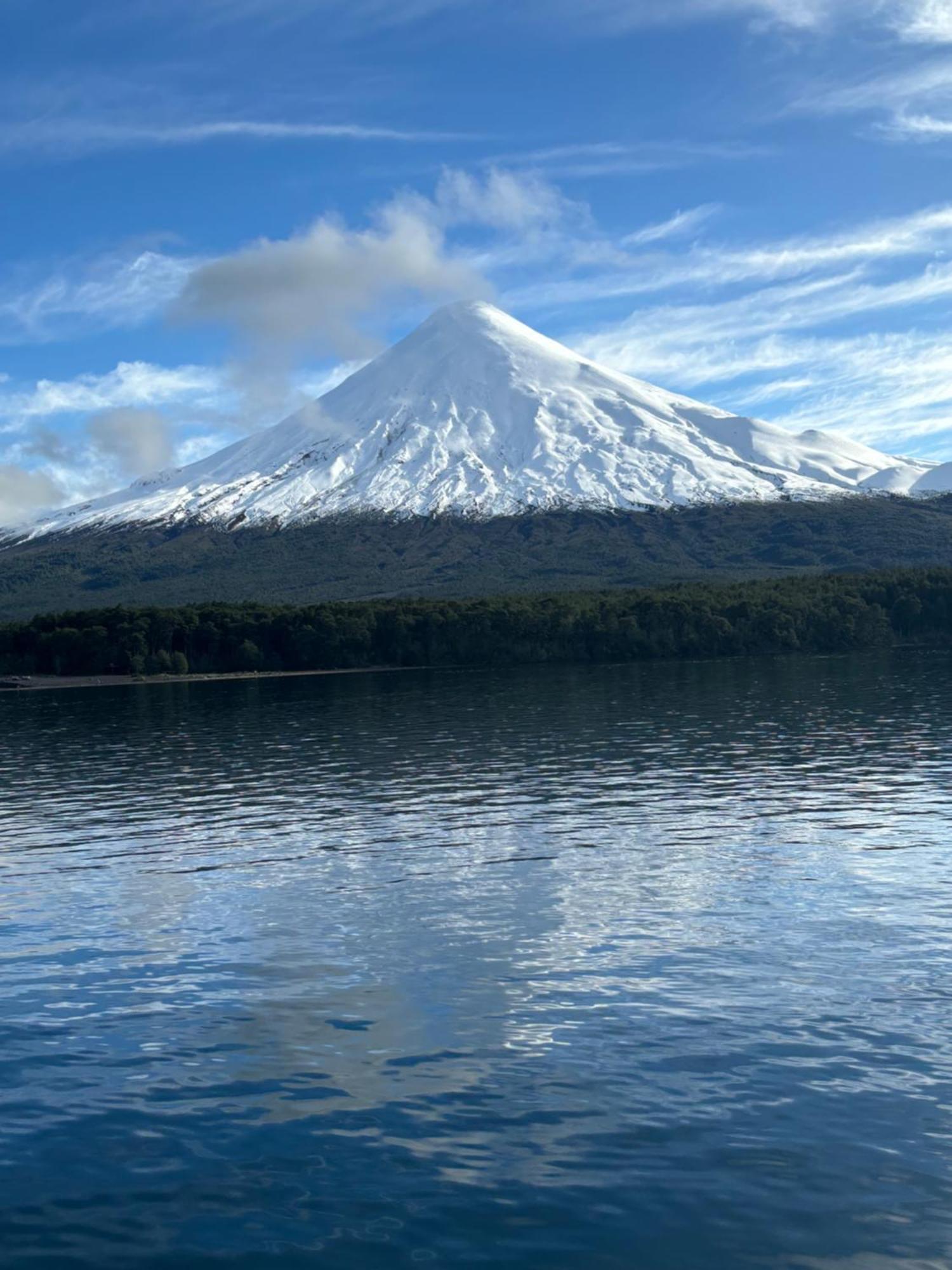 The Roses Apartment Puerto Varas Bagian luar foto